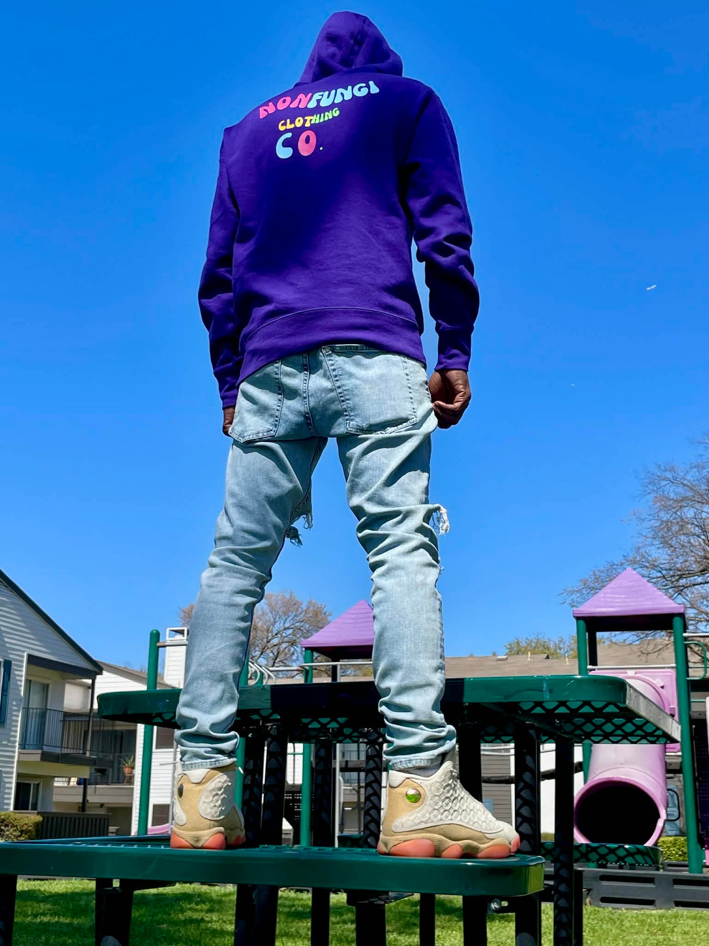 NON FUNGI HOODIE